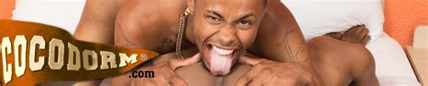 Coco Dorm Gay Porn Videos Hd Scene Trailers Pornhub