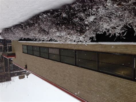 Bezazian Branch A Pre Winter Day Chicago Public Library