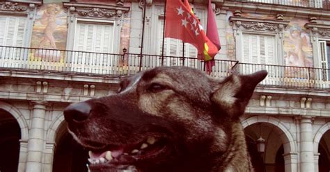 Best Way For A Gay Guy To Masterbate