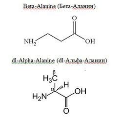 Бета-аланин: научный обзор — SportWiki энциклопедия