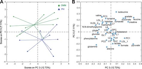 A Pc Vs Pc Scores And B Loadings Plots Of The Pca Model