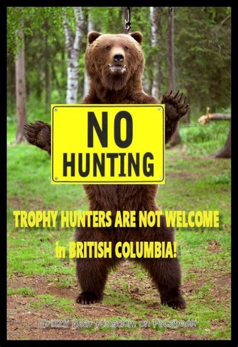 The spring (2017) Grizzly Bear Trophy hunt opens next month in BC ...