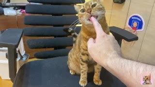 Free Obokozu Porn Videos Page From Thumbzilla