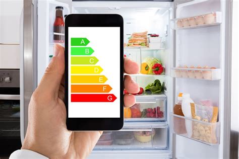 Best Energy Efficient Refrigerator Homeselfe