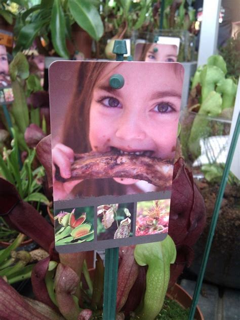 Yes Its The Label On A Fly Eating Plant Rwtf