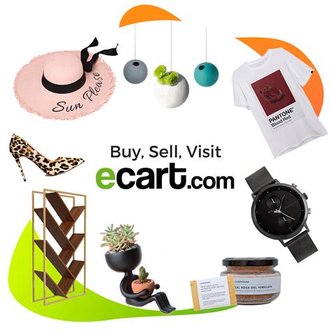 track  shipping labels created  envia shipping