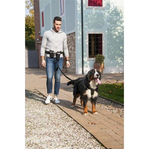 Walky Belt Hands Free Dog Leash Walky Dog Walking Running Waist Belt