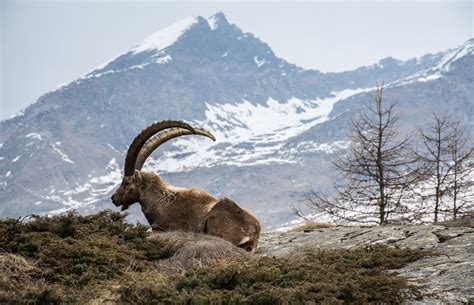 aosta valley images  pholder castles europe  earth porn