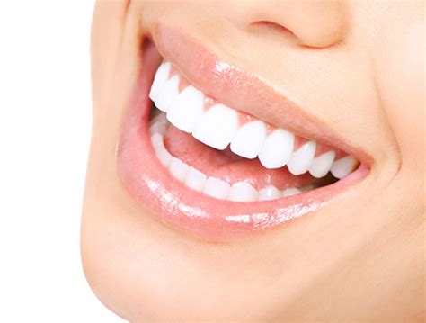 teeth  png image transparent hq png  freepngimg