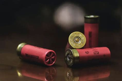 Low Brass Vs High Brass Shotgun Shells Homestead And Prepper