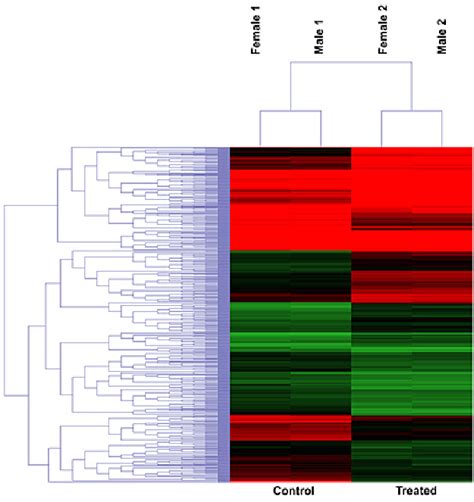 Hierarchical Clustering Of Differentially Expressed Genes Hierarchical Download Scientific