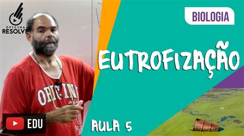 Cite Sugestões Para Mitigar Os Efeitos Da Eutrofização