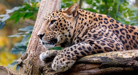 Hidden Sri Lanka Gay Friendly Vacations