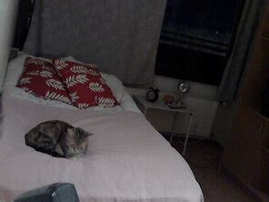 Baiyin811 白银81 皮衣修女 Baiyin811 白银81 皮衣修女 70 Porn Pic