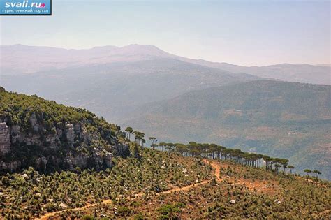 Горы Ливан. | Ливан | фотографии | Туристический портал Svali.RU