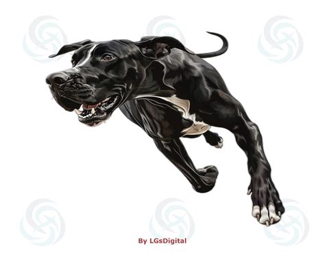 200 Great Dane Clipart Realistic Clipart Transparent Background Digital
