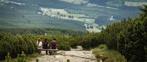 Ile Jest Park W Narodowych W Polsce Co Musisz Wiedzie