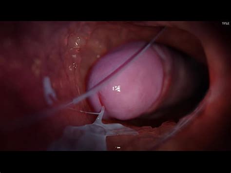 Sexo Duro Con Un Amigo En Diferentes Poses Animaci N Del Juego Xvideos