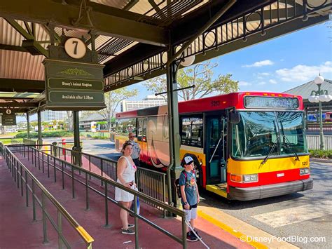 Disney Springs Bus Schedule, Tips and Advice - Disney by Mark