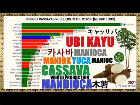 Klima Naturali Maiores Produtores De Mandioca Do Mundo