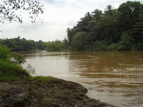 Kelani River, Columbo, Sri Lanka | World Rivers Project