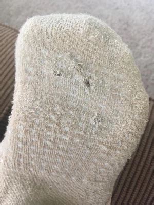 Peds Women S 2pk Cushioned Liner Nude 5 10 Target