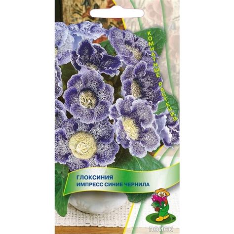 Семена Цветы, Глоксиния, Импресс Синие чернила, 5 шт, цветная упаковка ...