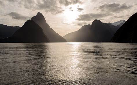 Milford Sound Underwater Observatory — Cruise & Tours