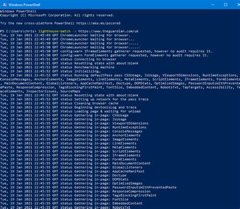 extract core web vitals lighthouse insights  bulk chris lever
