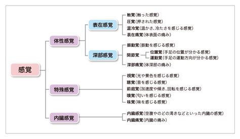 感覚の訓練・リハビリ ほぼ毎日更新！お役立ち情報