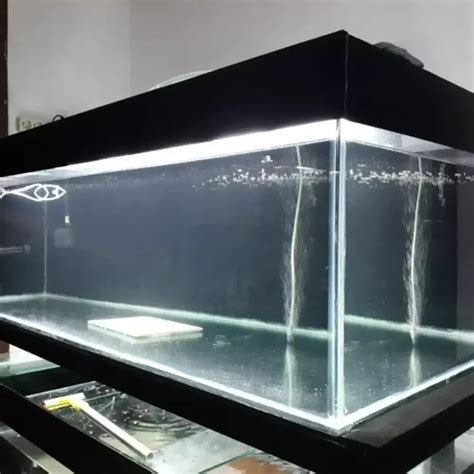 Aquarium Baru Mm X X Cm Hewan Peliharaan