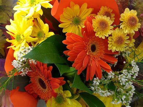 image libre fleur bouquet tournesol flore arrangement decoration