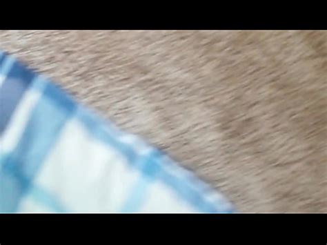 20160611 095919 XVIDEOS