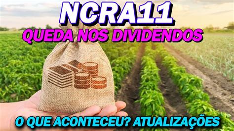 NCRA11 NOVO RELATÓRIO EXPECTATIVAS DE DIVIDENDOS O QUE ACONTECEU