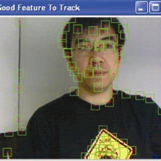 detected good feature points   version