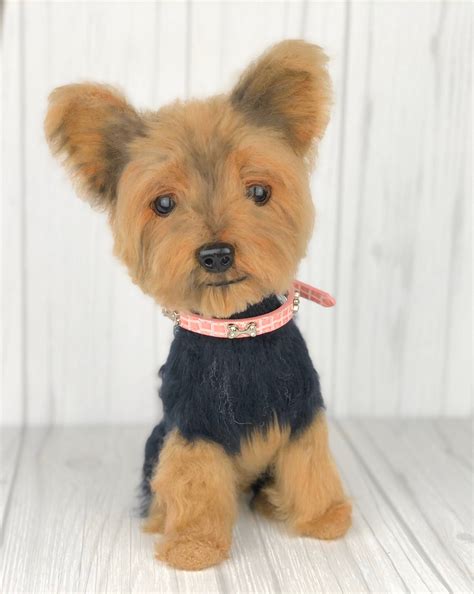 Yorkie Teddy Bear Cut