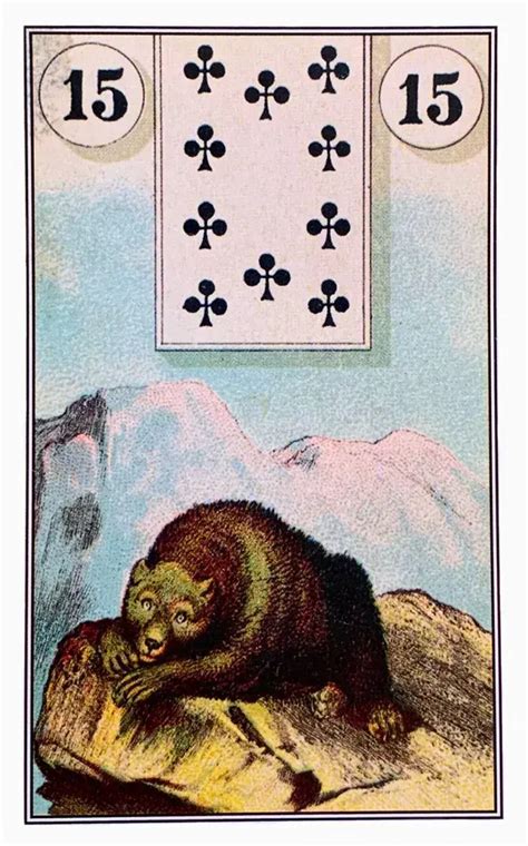 O Urso Baralho Cigano - Baralho Cigano - O Urso: Significado e interpretação da Carta 15.