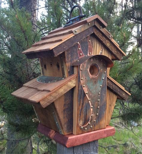 Cool Bird House Plans Pics Home Inspiration