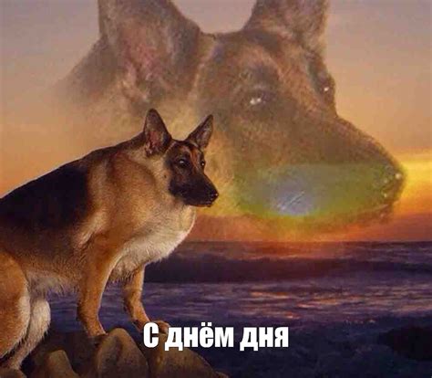 Мем: "С днём дня" - Все шаблоны - Meme-arsenal.com