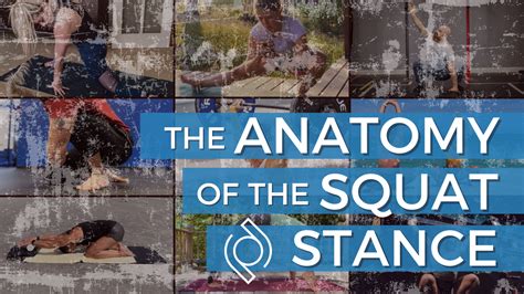 The Anatomy Of The Squat Stance Primal Mobility