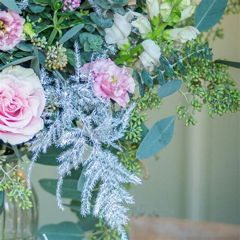 Sugar Plum Fairy Moutan Flowers