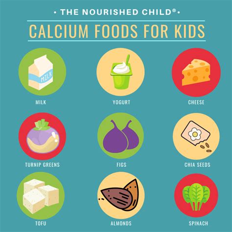 calcium food list   ronald alvarez blog