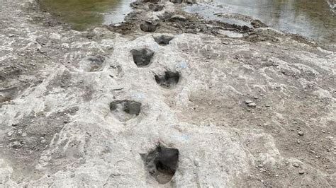 Dinosaur Tracks From 113m Years Ago Exposed By Severe Drought Bbc News