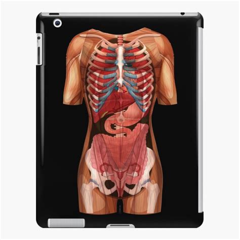 Funda y vinilo para iPad Ubicación Órganos Anatomía Humano Cuerpo