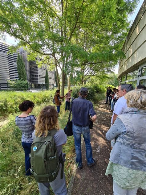 Tela Botanica Pr Sente Le Mooc Botanique Les Plantes Et Leurs