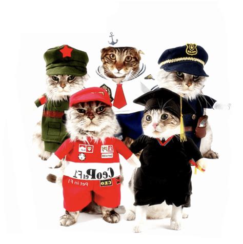 Funny Cat Party Costumes Hilariousadorable Dress Up Outfits For Cat