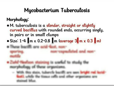 Solution Mycobacterium Tuberculosis Morphology Studypool