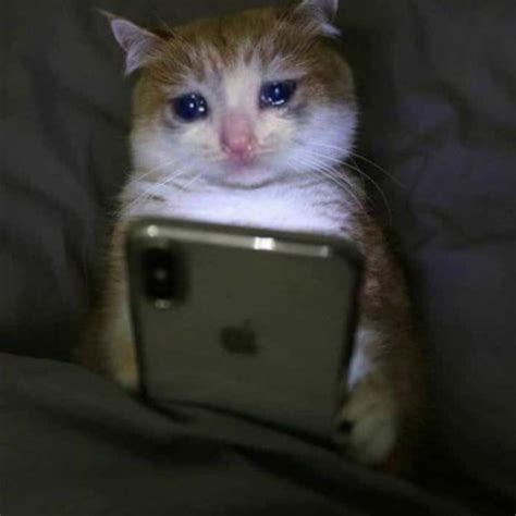 Stream Anh Nên Yêu Cô Ấy Remix Hot TikTok by 𝓛𝓮𝓶𝓸𝓷 Listen online