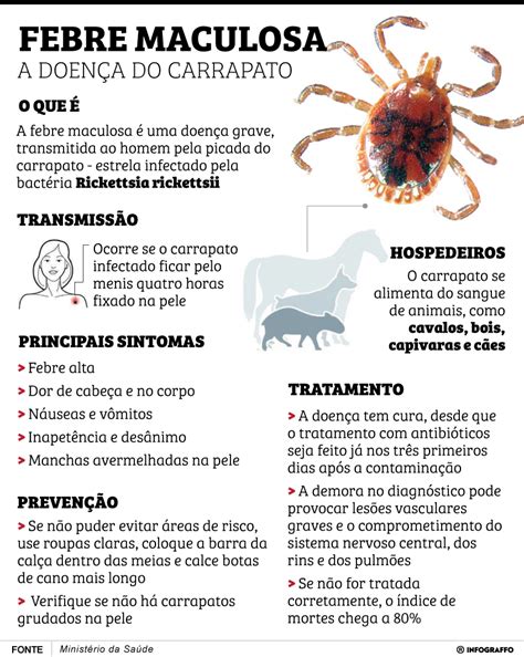 Qual Carrapato Transmite A Febre Maculosa - Entenda o que é febre maculosa e quais os sintomas - Vvale