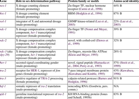 C Elegans C Briggsae Sex Determination Protein Sequence Conservation